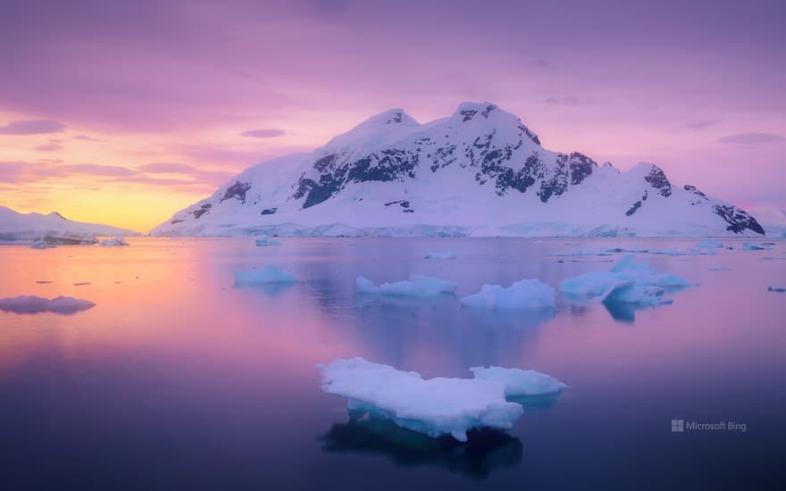 Paradise Harbour, Antarctica