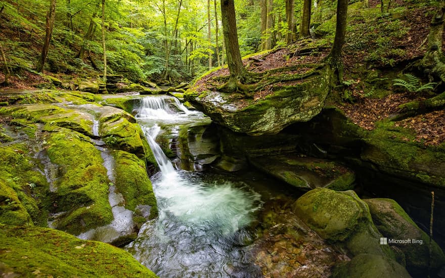 Bear Hole Brook, Catskill Mountains, New York