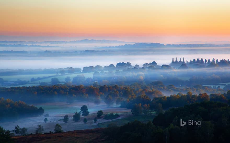 Misty sunrise in Ashdown Forest, East Sussex