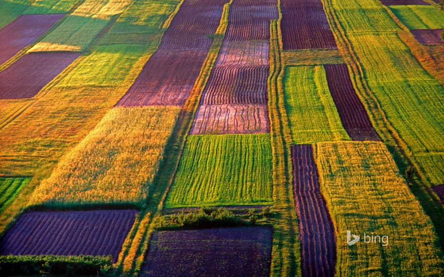 An organic farm in the Roztocze region of Poland