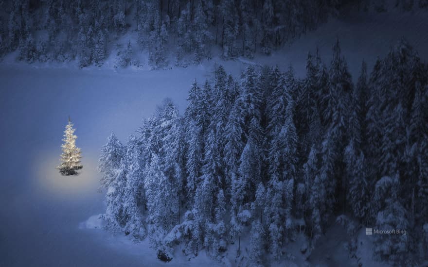 Christmas tree at Weissensee, a small lake near Ehrwald in Tyrol, Austria