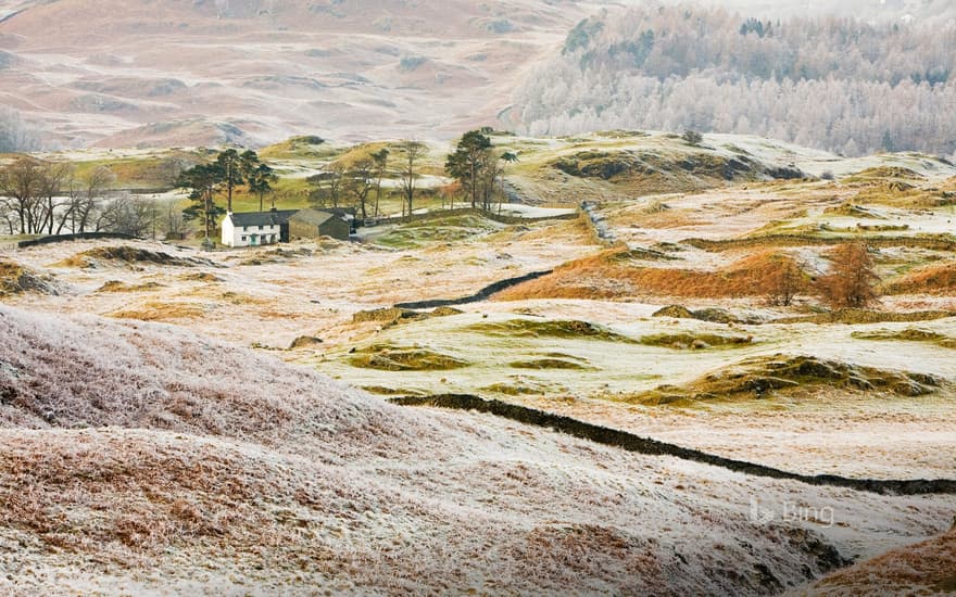 Hoar frost on vegetation near Coniston, Lake District