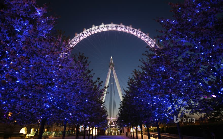 The London Eye at night behind a row of illuminated trees